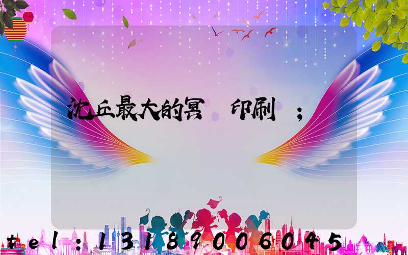 沈丘最大的冥幣印刷廠