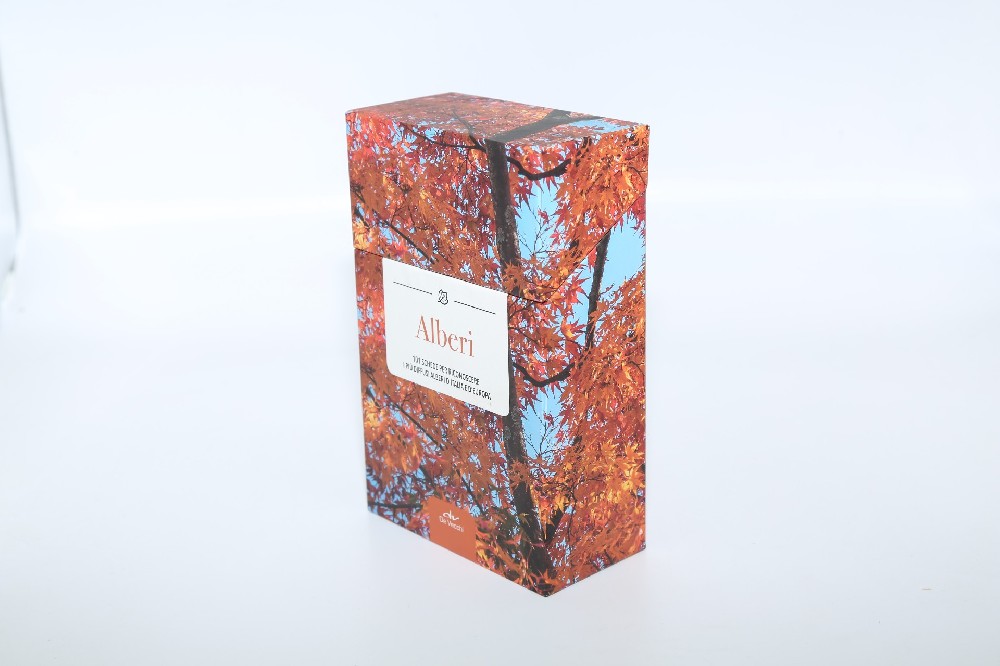 廣州包裝盒印刷廠(chǎng)- 設(shè)計(jì)+印刷 快速上手